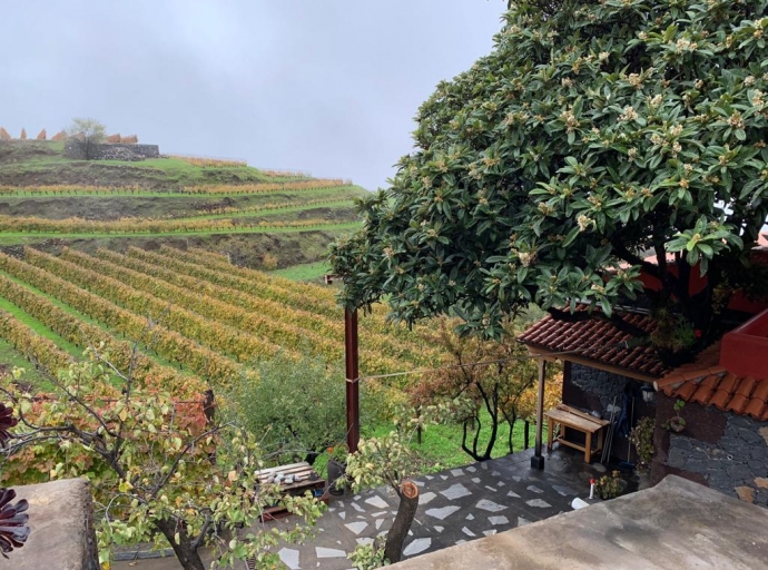 Nuestros viticultores 🍇 nos han enseñado a esperar... ahora esperan mucho de nosotros🍷