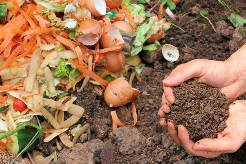 Las familias👩‍👩‍👦‍👦 serán protagonistas del nuevo programa de compostaje doméstico🍌🥕 🥚 de La Palma